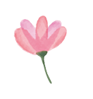 花のイラスト