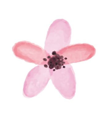 ピンクの花のイラスト